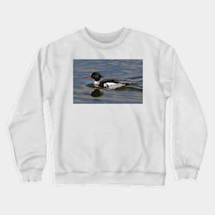 Red-breasted Merganser Crewneck Sweatshirt